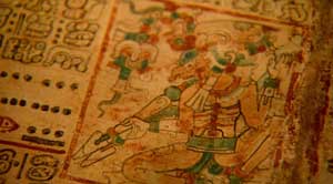 codex codex