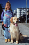 dogs_fullHouse