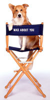 dogs_madAboutYou