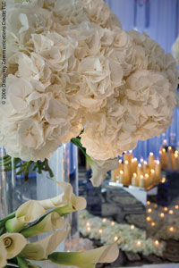 flowers_Uncut_1109_2