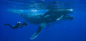 planetEarth213