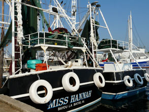 Big-Shrimpin-1111