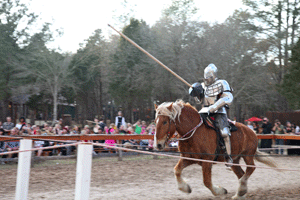 knights2