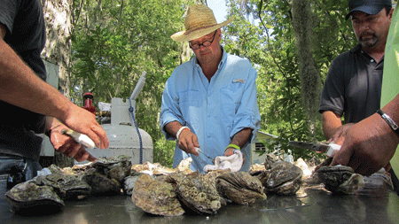 Zimmern_web_3