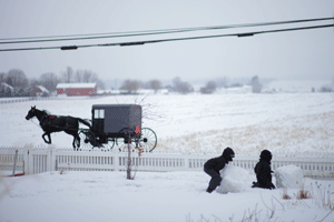 amish