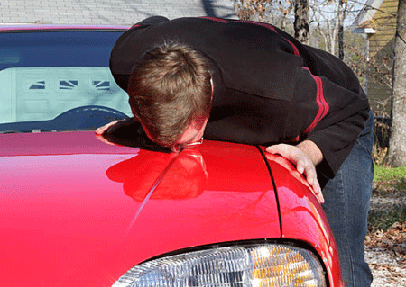 car-lover.gif