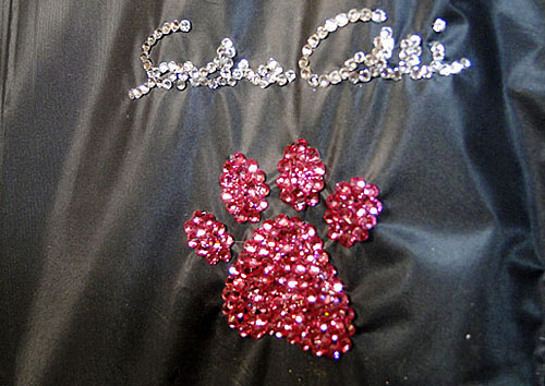 bling-it-on-dog-dress.jpg
