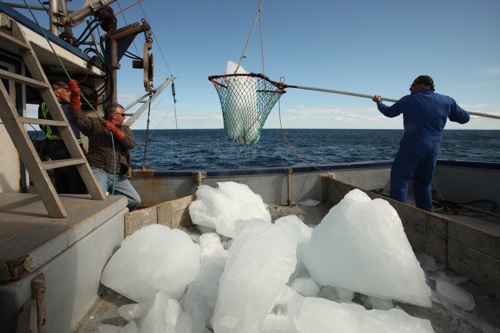 iceberg-hunters-weather-channel-3