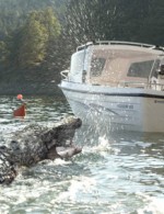Robert Englund dives into “Lake Placid The Final Chapter”