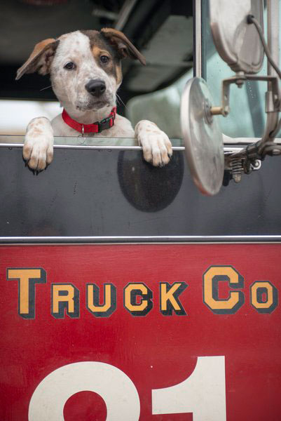 chicago-fire-pouch