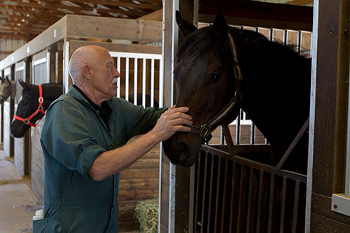 the-incredible-dr-pol