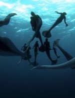 Animal Planet’s Monster Week 2013 includes a new “Mermaids” special